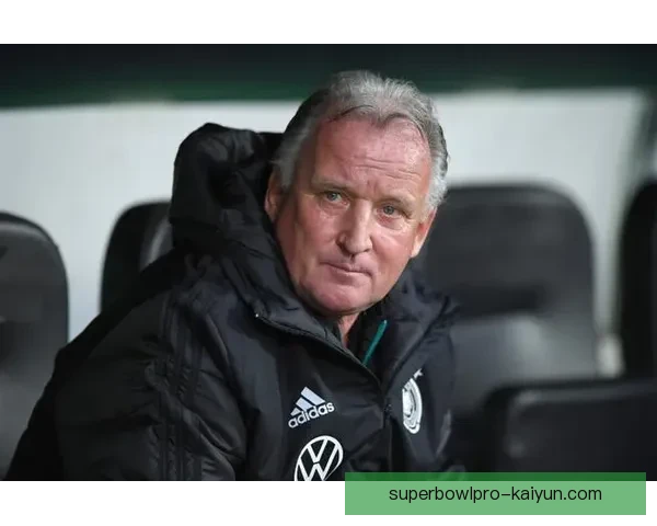 布雷默入围巴西世界杯候选名单，表现备受期待